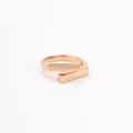 Frame Ring