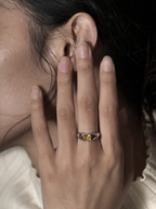 solaris ring